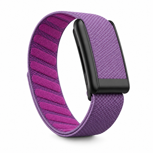 Bracelet Whoop Purple #25 compatible 4.0 5.0 MG — WhoopElite