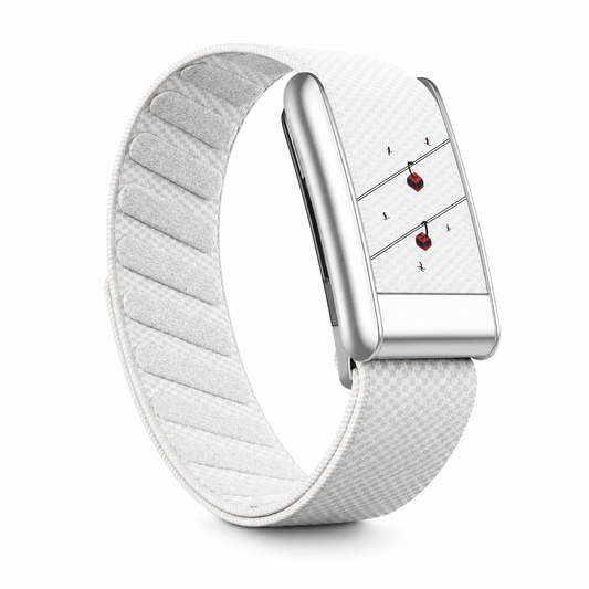 Bracelet Whoop Courchevel compatible 4.0 5.0 MG — WhoopElite